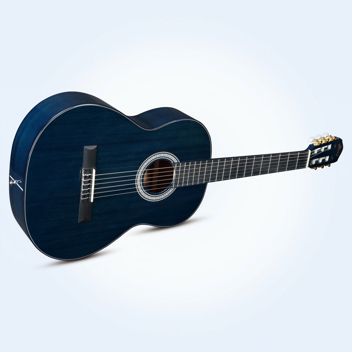 Complete classical guitar kit by WINZZ with all essentials for beginners and adults.
