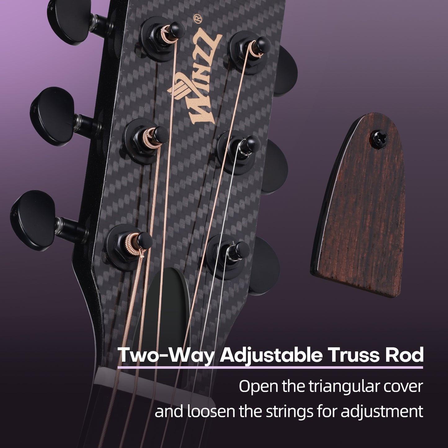 WINZZ AFO350CE Electro-Acoustic Guitar - Full Carbon Fiber 41-INCH Cutaway Acoustic Electric Guitar with Arched Back, EQ System, D’Addario Strings