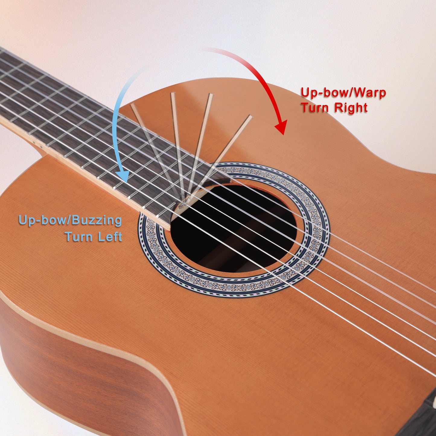 WINZZ AC70H 36-Inch Ceder General Grade Classical Guitar