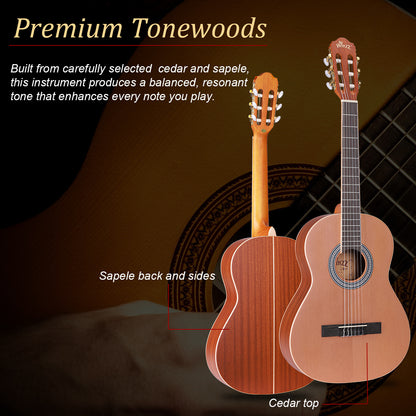 WINZZ AC70H 36-Inch Ceder General Grade  Classical Guitar