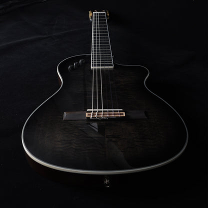 WINZZ WCG170CE 39-Inch Thin Body Classical-Electric Guitar - Nylon Strings, Built-in Preamp, Wide fingerboard,Perfect for Stage and Practice