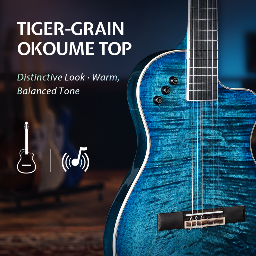 WINZZ WCG170CE 39-Inch Thin Body Nylon Strings  Classical-Electric Guitar With Built-in Preamp