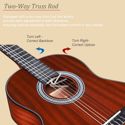 WINZZ AC309 36-Inch Sapele General Grade  Classical Guitar