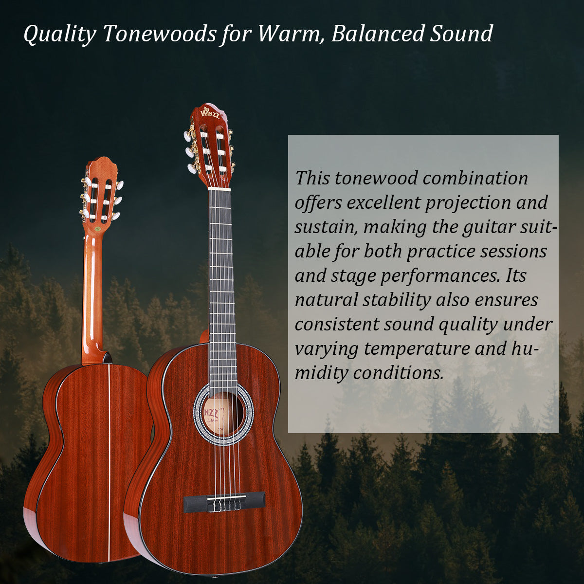 WINZZ AC309 36-Inch Sapele General Grade  Classical Guitar