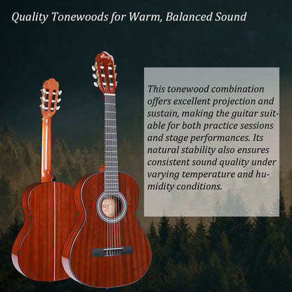 WINZZ AC309 36-Inch Sapele General Grade  Classical Guitar