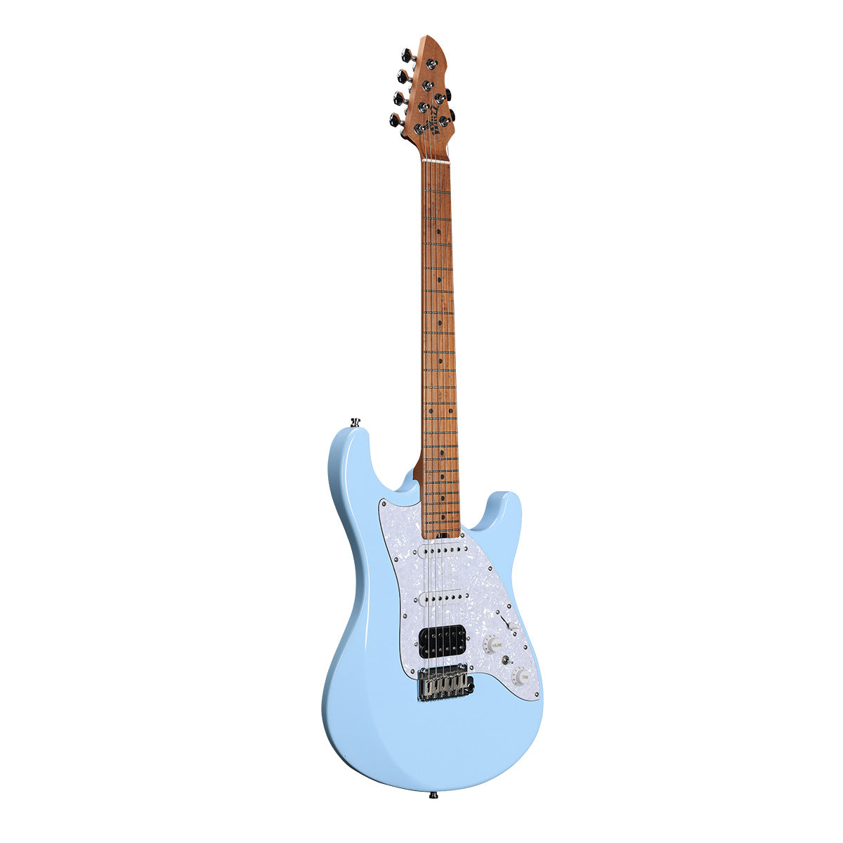 WINZZ WGS100 Solid Alder Body ST electric guitar With Roasted
