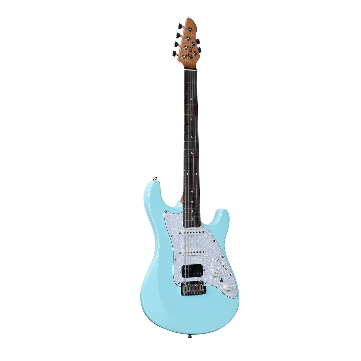 WINZZ WGS100 Solid Alder Body ST electric guitar With Roasted