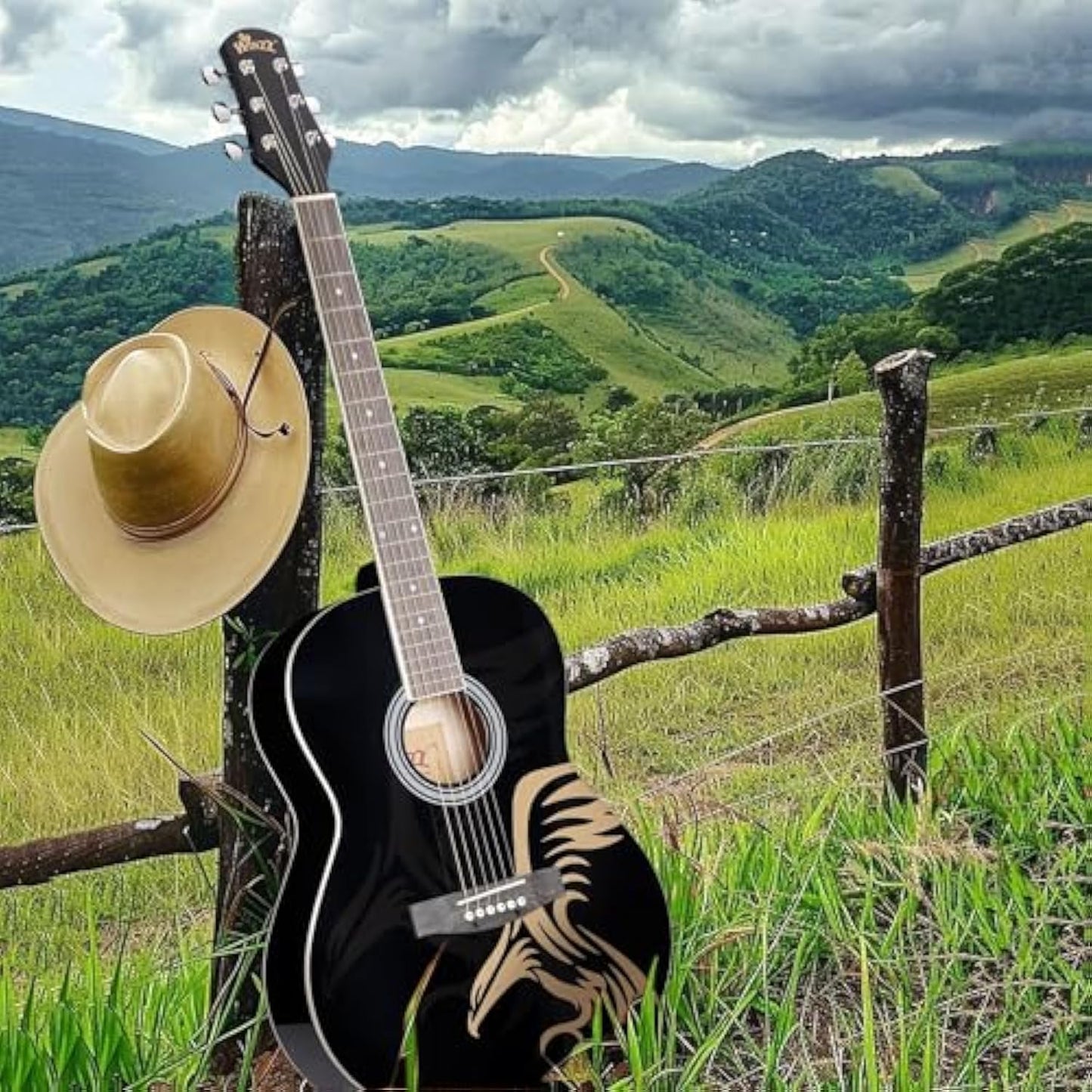 WINZZ AF227A 39-Inch   Concert Pattern Design Acoustic Guitar